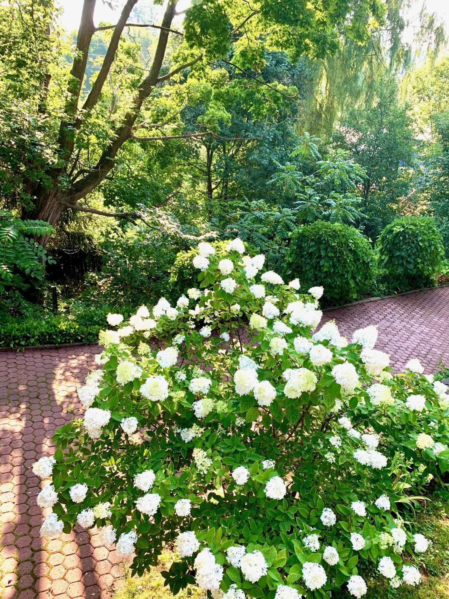Bed & Breakfast Plantation House 4*